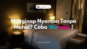 Menginap Nyaman Tanpa Mahal? Coba Walanja!